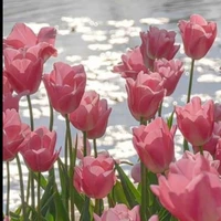 Tớ là yui🎐🎐🎐