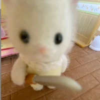 Bbii 🐰