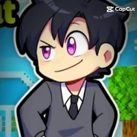hiha fake
