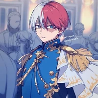Todoroki Shoto (Shoto)
