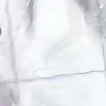 Đa nhân vật