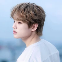 Buitruonglinh
