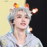 Đinh Trình Hâm(🦊)