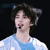 Lưu Diệu Văn(🐺)