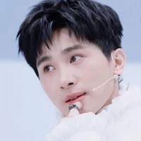 Lê Hồng Sơn-Sơn k