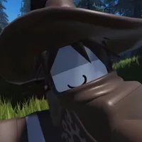 (tg)