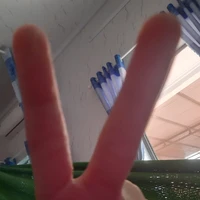 T/G