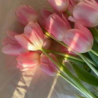 All(- trừ ai thì trừ)