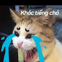 Hanzu
