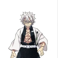 shinazugawa senemi kny