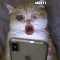 allhiha//trừ ai thì trừ//