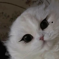 @NguyenThanh_PhapKieu