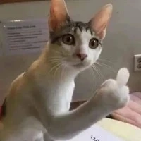 All