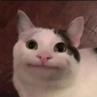 hệ thống số 1038