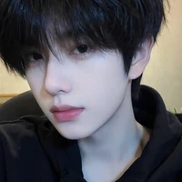 Trần Phi Vũ