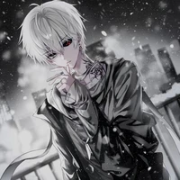 odasei haruto