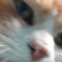 Zàng hiphop🤘🏻