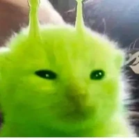 T/G