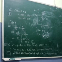 tác giả