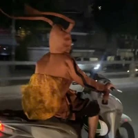 gián chết ko(t/g)