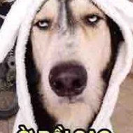 Ngũ cốc(anh trai nhỏ T/g)T/g2