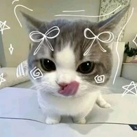 H/t (khi là mèo)
Tiểu meo