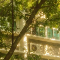 CLB Nghệ Thuật_clbnghethuat