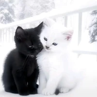 Sứa nèe^^
