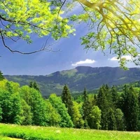 tác giả giở hơi tới đây