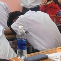 Con 🐦 tự ái, hòn 🥚🥚 cô đơn