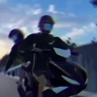 Exciter ( kẻ trộm chó)