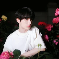 ĐINH TRÌNH HÂM