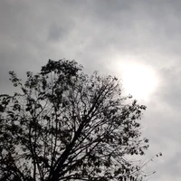 all[tự trừ tại t/g lười]