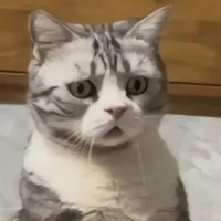 cần mọi loại nghề