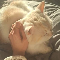 Sol iu ơi