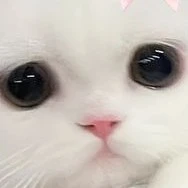#tg