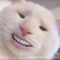 nhóc con