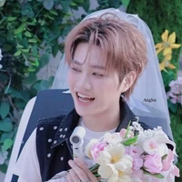 Captain boy(hệ thống)