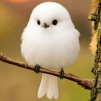 Hệ thống của Abbie và Sannie