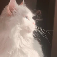 Miu