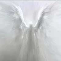 Raphael (Thiên sứ cấp cao)