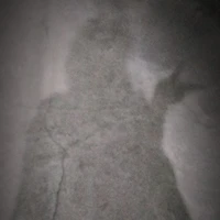 hệ thống _tên cá_