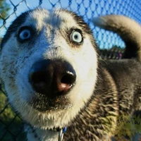 t/g đẹp trai nhất vũ trụ