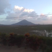 tác giả
