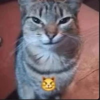 đẹp gái thì đổi tên