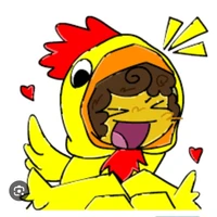 Shed ( chiken )