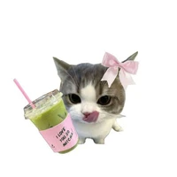 Zin iu Macha ( t/g )