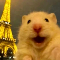 T/g lên cơn nghiện