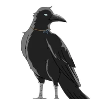 Konchi