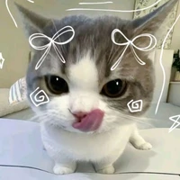 t/g bị mê allisagi